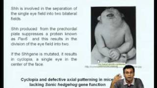 Mod-07 Lec-25 Signal transduction pathways involved in embryonic development