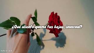 Quien - Los Strwck // Letra