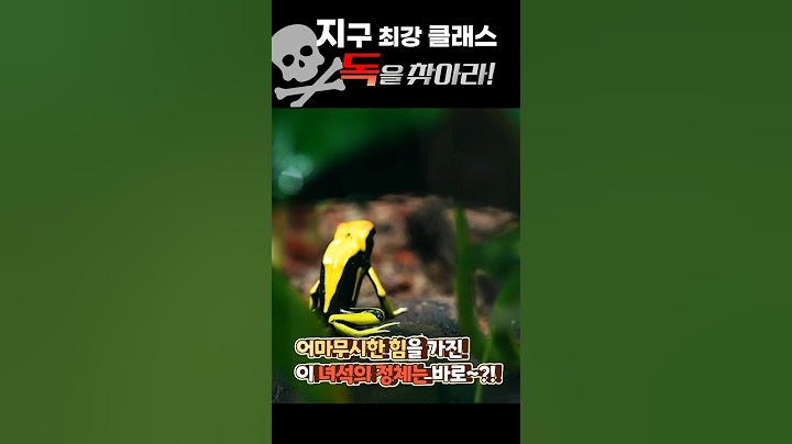 독화살개구리 ] 복어 뺨 때리는 맹독개구리가 있다? #독화살개구리 #동물다큐 #동물반응 #동물영상 #멸종위기종