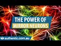 What Are Mirror Neurons? Discover their POWER!