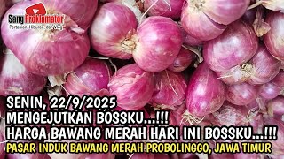 SURPRISE MY BOSS...!! TODAY'S PRICE OF SHALLOTS, MONDAY, 9/22/2025 AT THE PROBOLINGGO SHALLOT MARKET