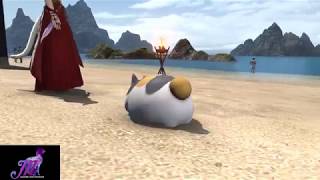 FFXIV: Fat Cat Minion