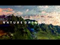NATURE DATAMOSH REEL
