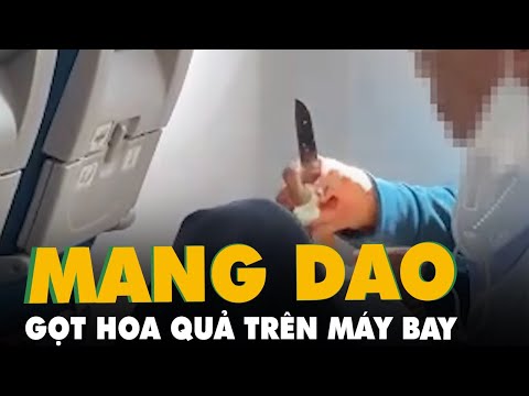 Video Vì sao dao gọt trái cây lọt lên được một chuyến bay... - youtube