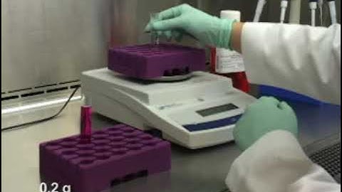 Production of Lentivirus