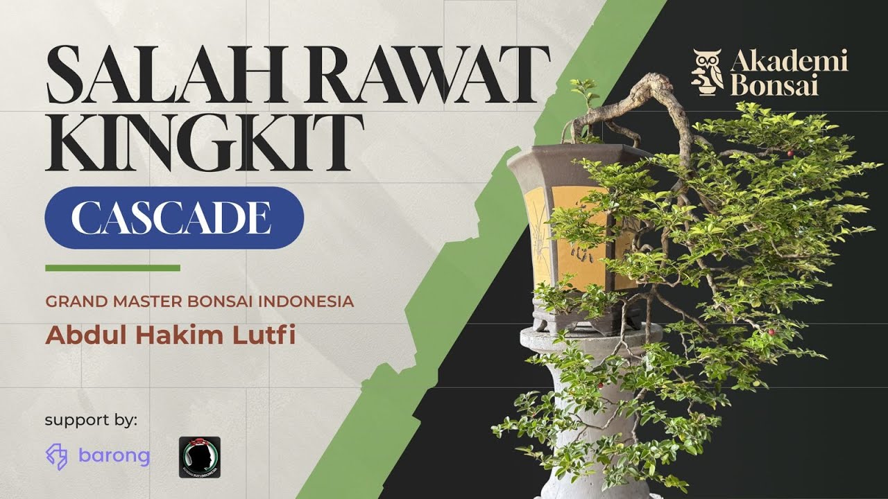 Rahasia Flow Kingkit Biar Tetap Subur