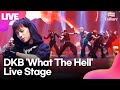 [LIVE] 다크비 DKB &#39;What The Hell&#39;(왓 더 헬) Showcase Stage 쇼케이스 무대｜이찬·D1·GK·희찬·룬·준서·유쿠·해리준