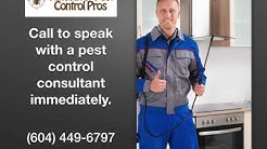 Pest Control in Vancouver WA - Vancouver Pest Control Pros 