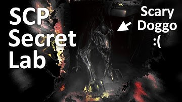 SCP: Secret Laboratory Shenanigans 8