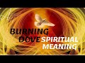 Burning dove spiritual meaning