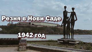 НОВИ САД история которую вы не знали