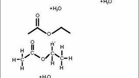 Esterbildung (animation)