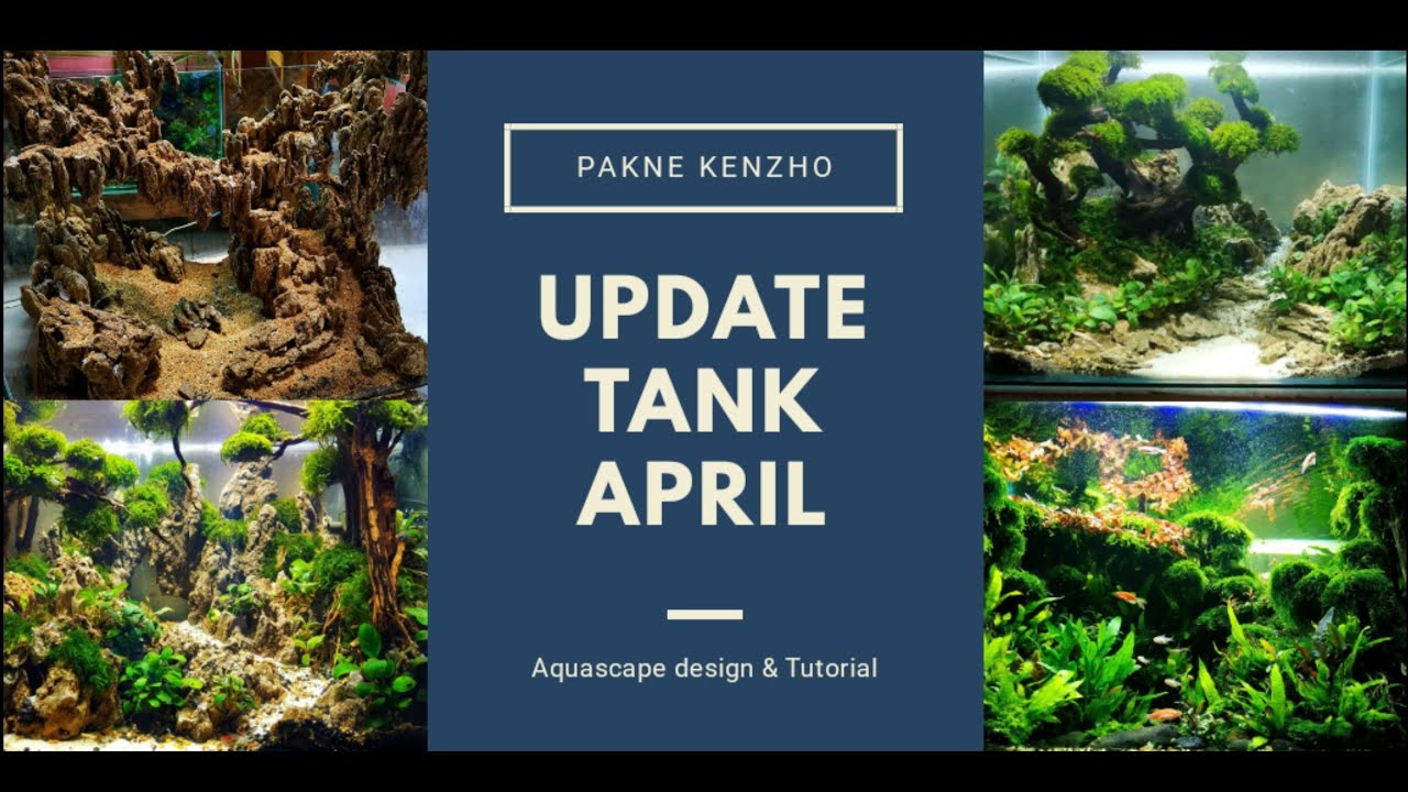 #50 Update semua tank awal April 2019 - YouTube