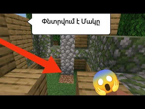 Video: Երբ թարմացվում է Minecraft քարանձավը: