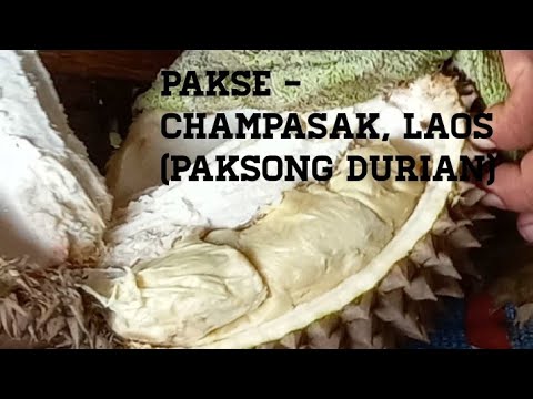 Pakse - Champasak, Laos.