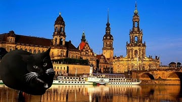 Maxwell The Cat in different languages 🔥🥃❌