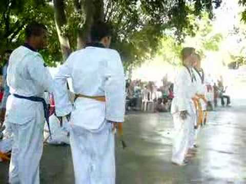 Exhibicion de taekwondo escuela Jesus Mejias Vnz