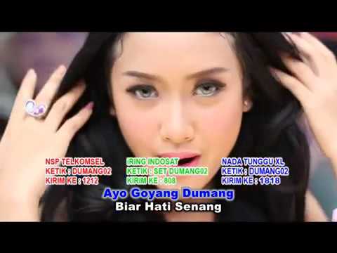 GOYANG DUMANG - Cita Citata.mp4