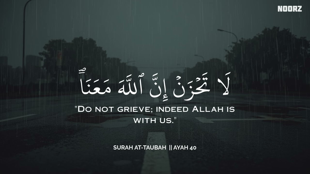 ساعة كاملة🕛🎧 | تلاوة تقشعر لها الأبدان بصوت محمد هشام | Reciter Mohamed Hesham | 💙🎧