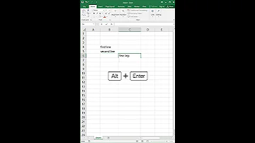 Multiple Lines In One Cell In MS Excel 