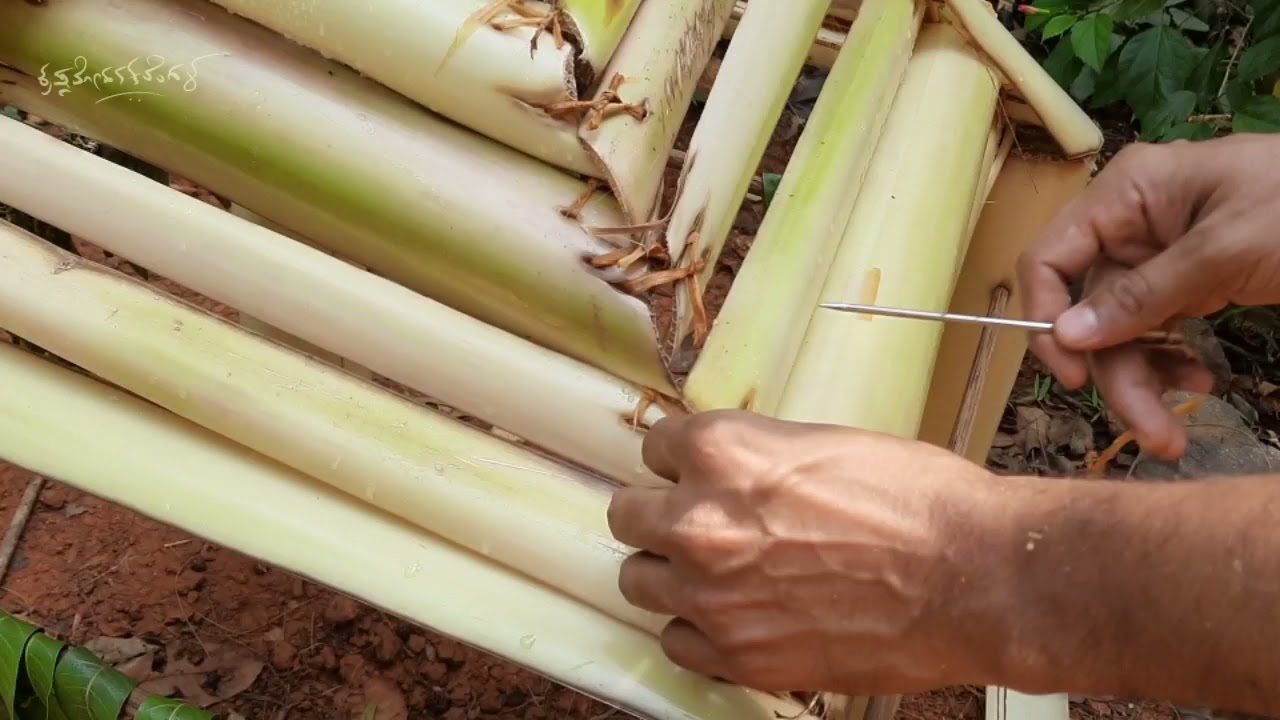 Setting up of poojamantap using banana stem / ಬಾಳೆದಿಂಡಿನ ಪೂಜಾ ಮಂಟಪ. 