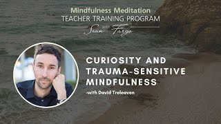 Curiosity and Trauma Sensitive Mindfulness - David Treleaven Wealth