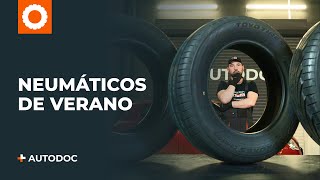 Consejos y recomendaciones para el mantenimiento de MERCEDES-BENZ SLK de AUTODOC CLUB