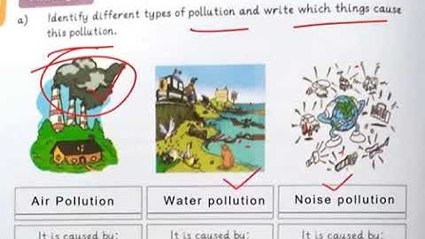 class 2 social studies summer pack 2022//Allied school khyber campus activities