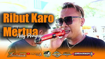RIBUT KARO MERTUA - ADY PRAYOGA || SINGA DANGDUT X-TREME PRATAMA LIVE DESA GEDANGAN SUKAGUMIWANG IM