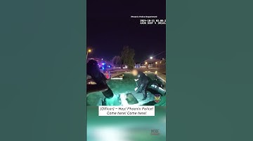 Police Rescue Man Who Drove Car into Swimming Pool #shorts