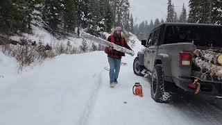 Harvesting wood in a Jeep Gladiator.