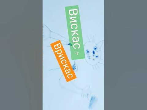 врискас+вискас - YouTube