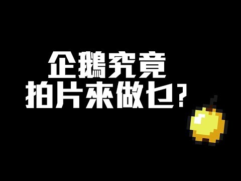 企鵝拍片 其實想點?