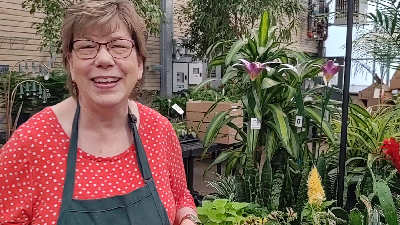 The Language of Flowers part 2 of 2 YouTube