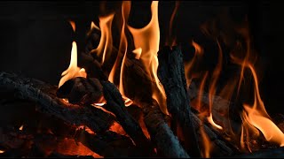 Burning Bonfire ASMR 🔥 | Deep Crackling Fire Sounds for Relaxation & Sleep (Live)