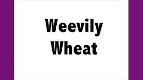 Weevily Wheat