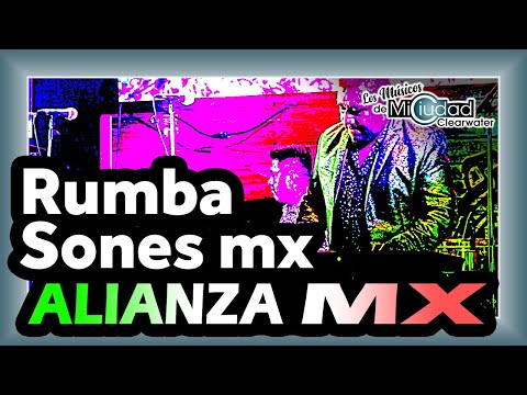 "La Rumba Quimbumba" Grupo Alianza MX (en vivo)