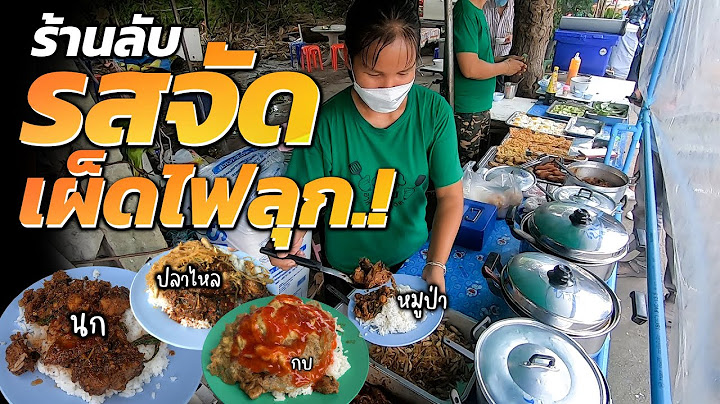 สุดโหด!! ร้านลับผัดเผ็ดป่าข้างทาง จระเข้ กวาง กบ นก งู หมูป่า รสจัดจ้านถึงใจ น้ำซุป ผัก ฟรีไม่อั้น