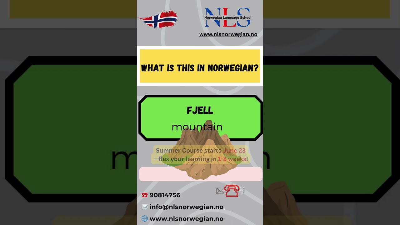 Norwegian vocabulary challenge