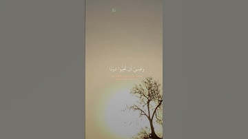 قال تعالى* و عسى ان تكرهوا شيئا وهو خير لكم* #قرآن #القرآن_الكريم #قران_كريم #quran #تلاوة_خاشعة
