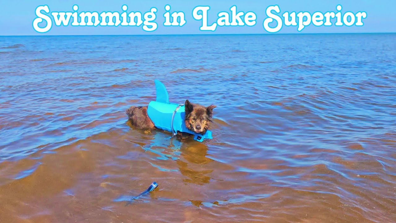Swimming in Whitefish Bay, Lake Superior
