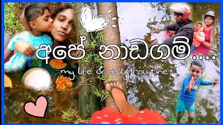 දවස ගෙවුණා ඉක්මනින් ?‍❤‍? | Day vlog සිංහල | harshionline dayinmylife  ? ?