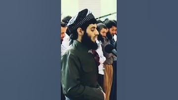 تلاوة فائقة جداً تريح القلب ❤️❤️. سورة إبراهيم للشيخ رعد الكردي