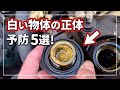 故障！？ オイル交換時 フィラーキャップに付着した白いクリーム状の正体と予防 5選！