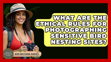 What Are The Ethical Rules For Photographing Sensitive Bird Nesting Sites? - Bird Watching Diaries