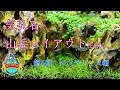 No.053　気孔石で山岳レイアウトを作る。第5回　メンテナンス編