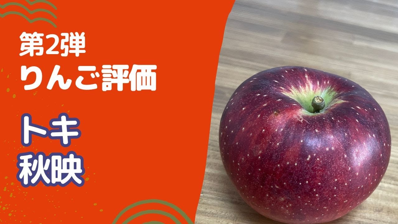 りんご　冷蔵庫とレンジのみ 国産りんごが1年食べられるのは貯蔵技術がすごいから！どんな