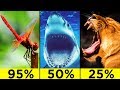 The Most Efficient Predatory Animals In The World