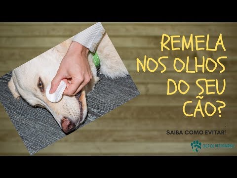 Vídeo: Como Cuidar Adequadamente Dos Olhos E Orelhas Do Seu Cão