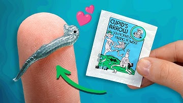 Sea-Monkeys Cupid
